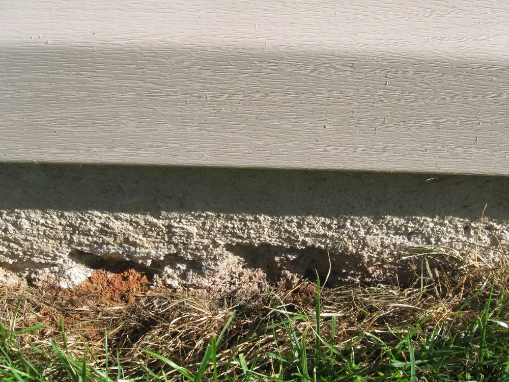 Local landscaping services for year-round maintenance in Whitsett, NC by Baxter Lawn Care Management