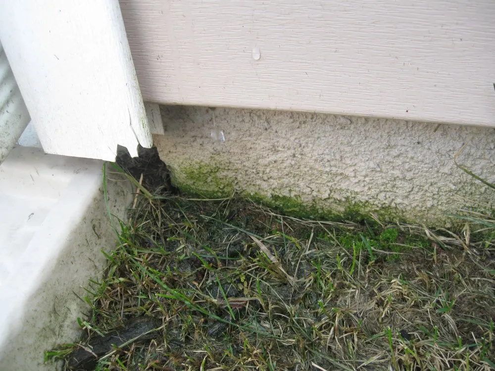 Trusted lawn mowing service in Whitsett, NC - Baxter Lawn Care Management