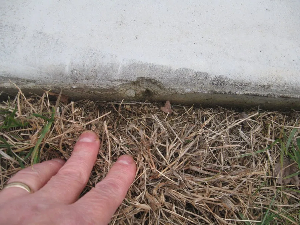 Trusted landscaping services experts serving Whitsett, NC - Baxter Lawn Care Management