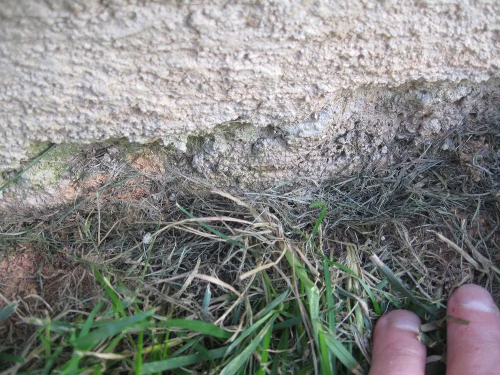 Reliable yard maintenance in Whitsett, NC by Baxter Lawn Care Management