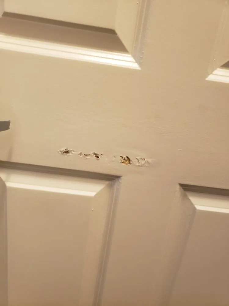 Professional yard cleanup service in Belton, TX by Baxter Service