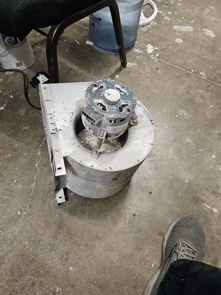 Trusted lawn care service for year-round maintenance across Belton, TX - Baxter Service