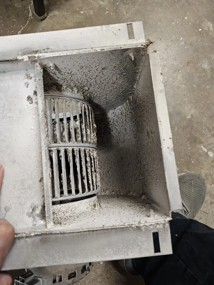 Professional outdoor landscaping in Belton, TX by Baxter Service