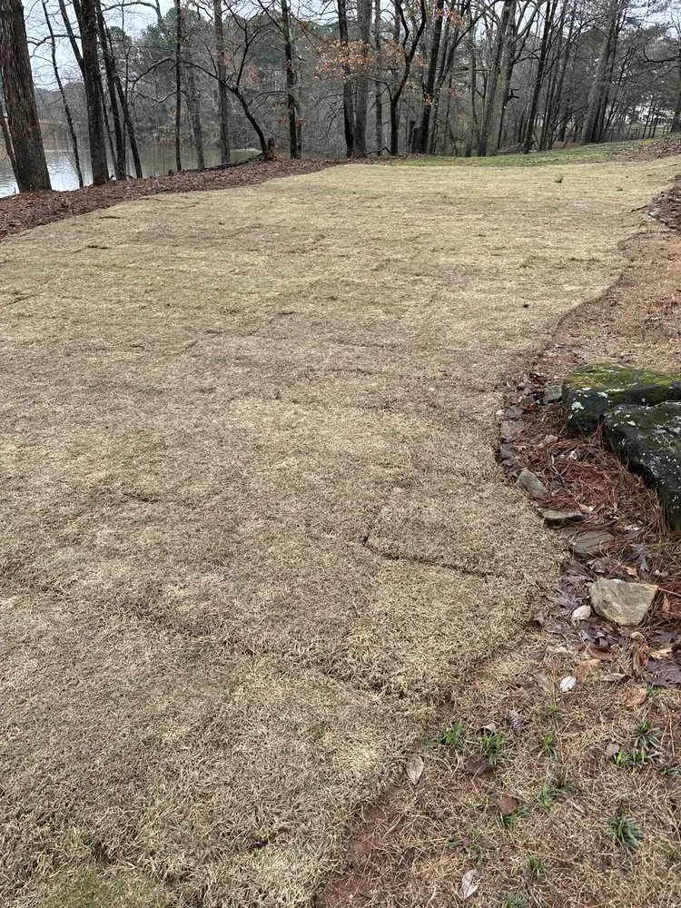 Professional landscape installation for homes across Kennesaw, GA - Baxter Site Works