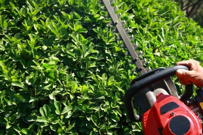 Professional landscape design near you across Virginia Beach, VA - Bay & Beach Landscape