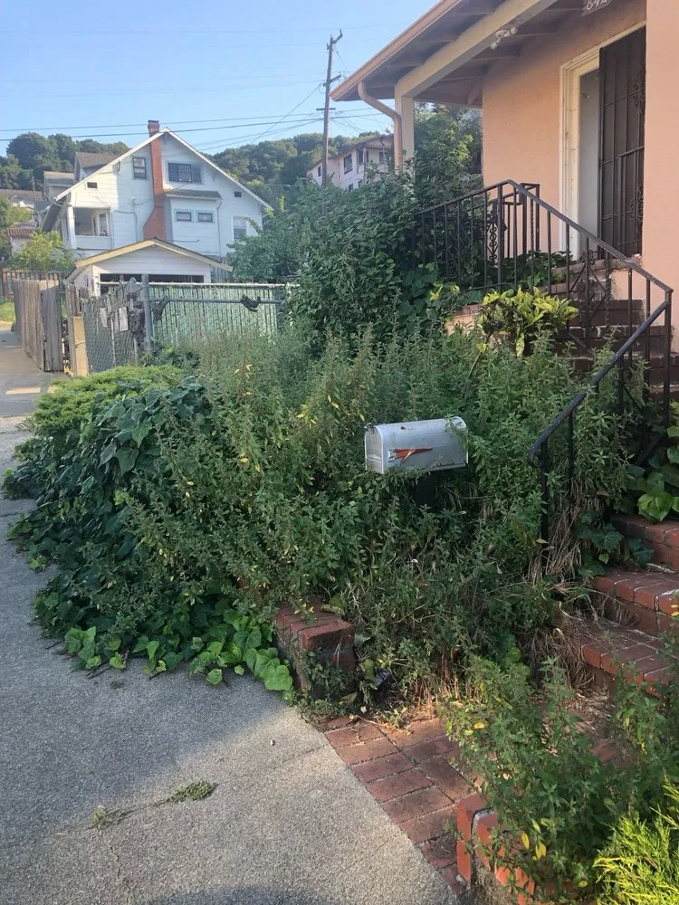 Reliable residential landscaping in San Francisco, CA by Bay & Beyond Landscaping Gardening and Groundskeeping