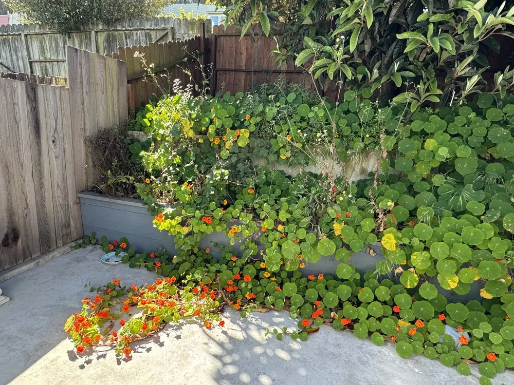 Trusted lawn mowing service in San Francisco, CA - Bay & Beyond Landscaping Gardening and Groundskeeping