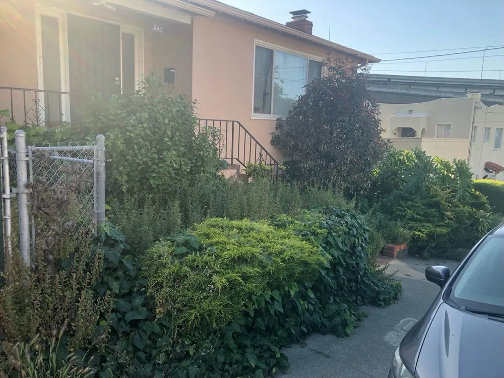 Reliable garden landscaping in San Francisco, CA by Bay & Beyond Landscaping Gardening and Groundskeeping