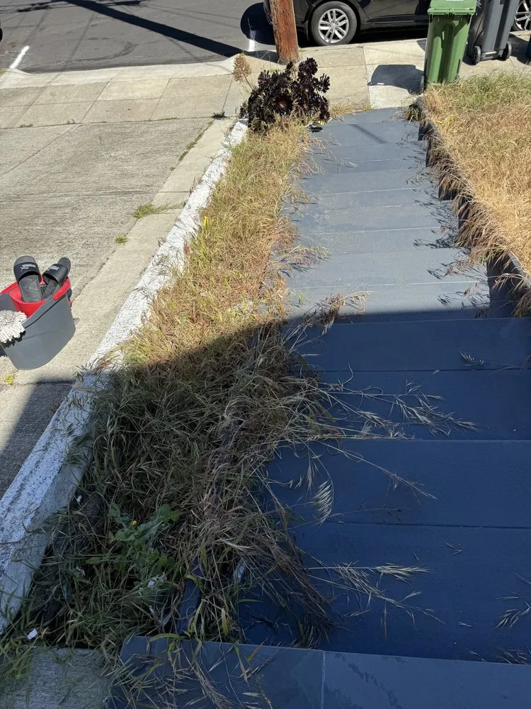 Trusted lawn care service near you across San Francisco, CA - Bay & Beyond Landscaping Gardening and Groundskeeping