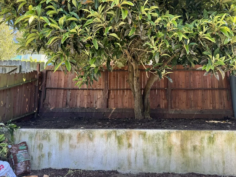 Trusted yard cleanup service in San Francisco, CA by Bay & Beyond Landscaping Gardening and Groundskeeping