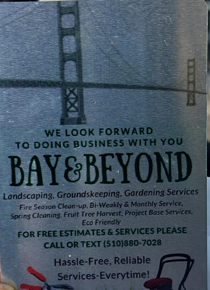 Top-rated yard cleanup service in San Francisco, CA by Bay & Beyond Landscaping Gardening and Groundskeeping