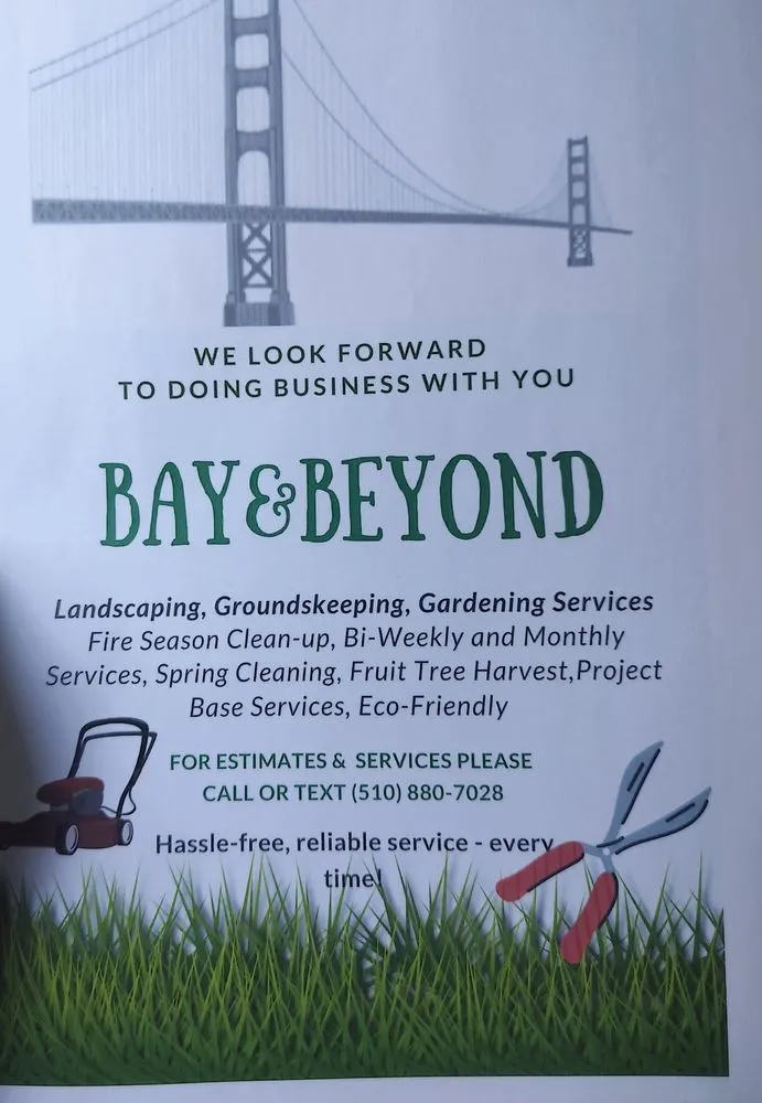 Custom yard cleanup service in San Francisco, CA - Bay & Beyond Landscaping Gardening and Groundskeeping