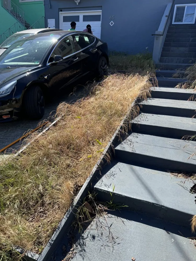 Custom garden landscaping for beautiful yards across San Francisco, CA - Bay & Beyond Landscaping Gardening and Groundskeeping