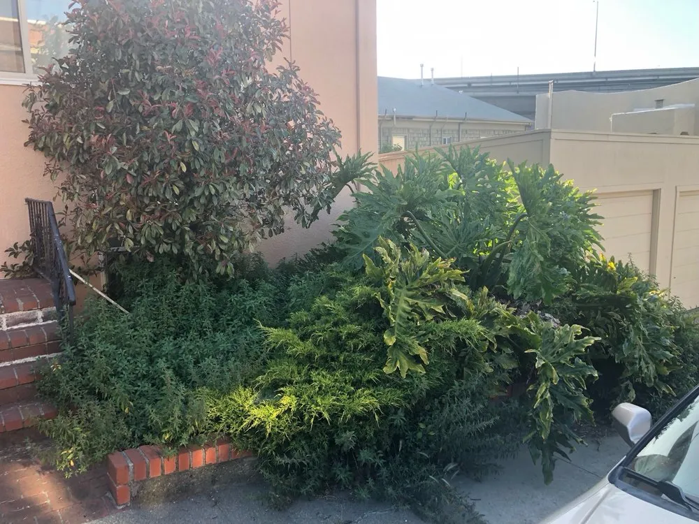 Expert landscape installation for homes in San Francisco, CA by Bay & Beyond Landscaping Gardening and Groundskeeping