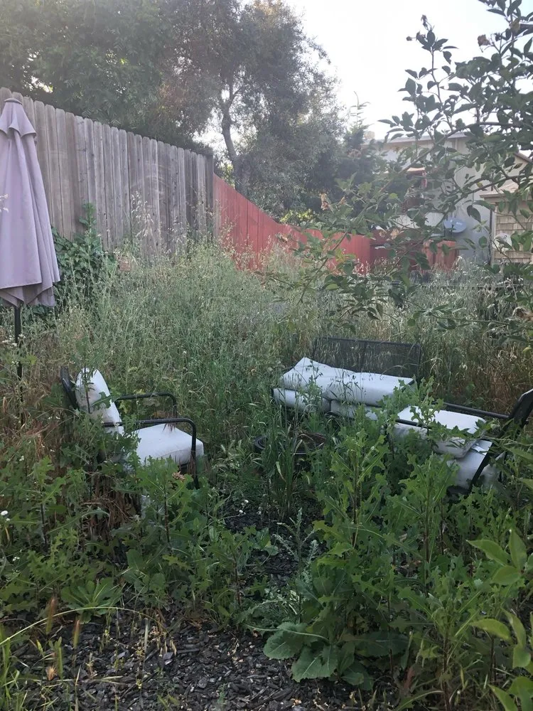 Trusted landscaping services for outdoor upgrades across San Francisco, CA - Bay & Beyond Landscaping Gardening and Groundskeeping