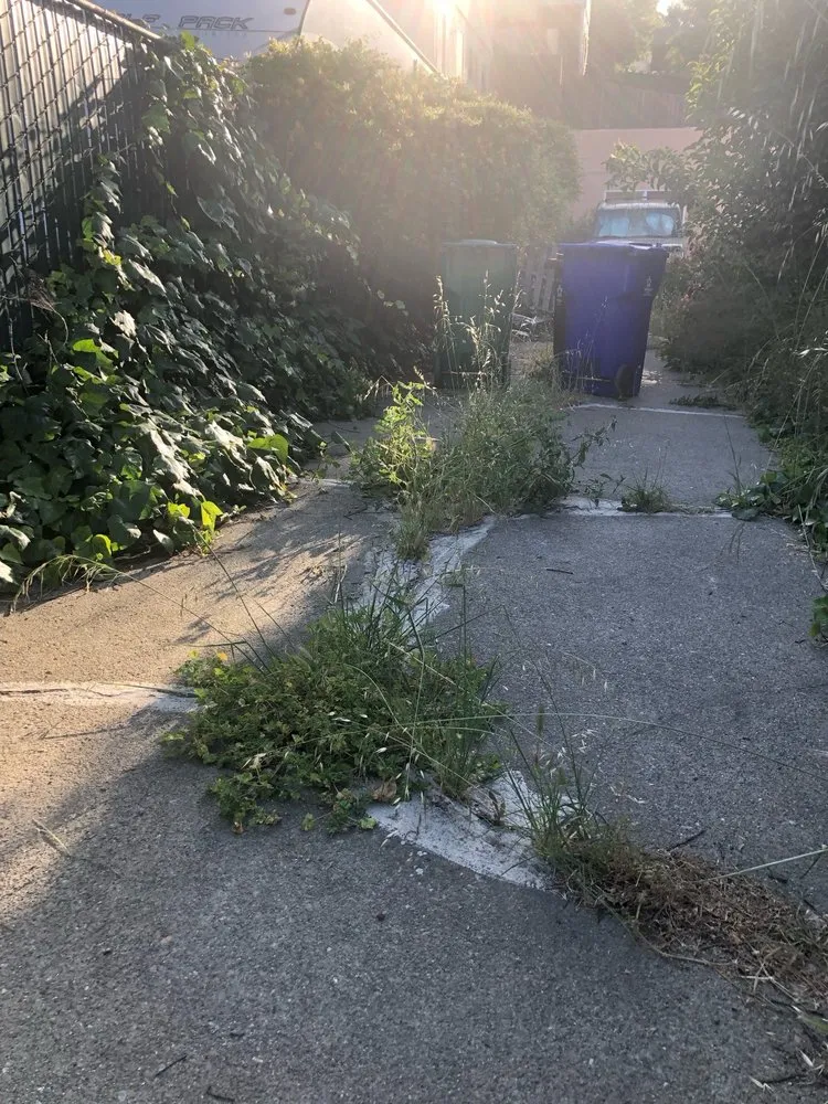 Affordable lawn care service in San Francisco, CA - Bay & Beyond Landscaping Gardening and Groundskeeping