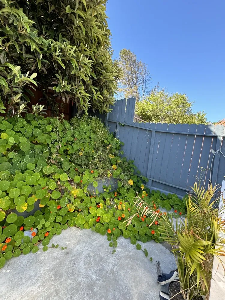 Professional yard maintenance in San Francisco, CA by Bay & Beyond Landscaping Gardening and Groundskeeping