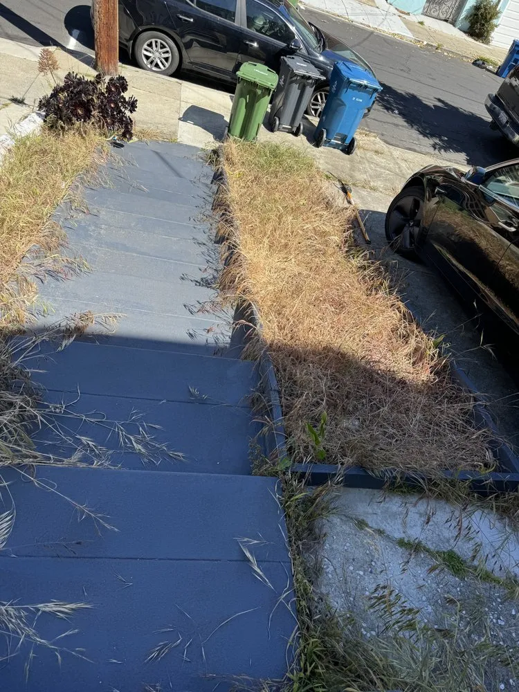 Affordable lawn care service in San Francisco, CA - Bay & Beyond Landscaping Gardening and Groundskeeping