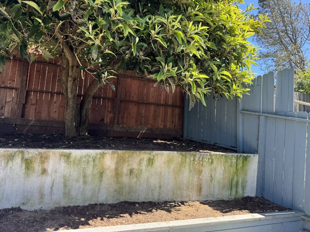 Expert landscape installation in San Francisco, CA by Bay & Beyond Landscaping Gardening and Groundskeeping
