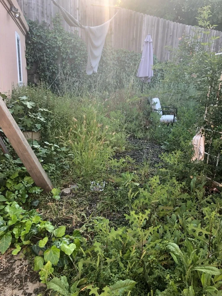 Trusted landscape installation for outdoor upgrades across San Francisco, CA - Bay & Beyond Landscaping Gardening and Groundskeeping