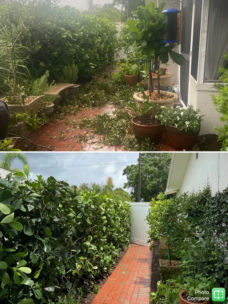 Professional outdoor landscaping in St. Petersburg, FL - Bay & Jay