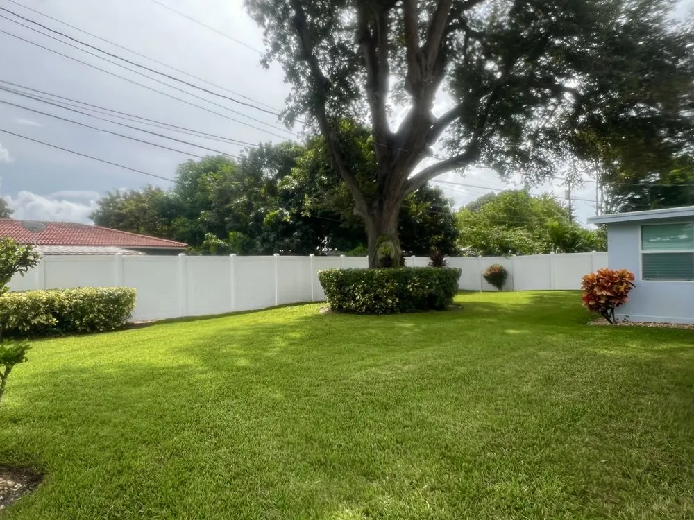 Affordable lawn care service in St. Petersburg, FL by Bay & Jay