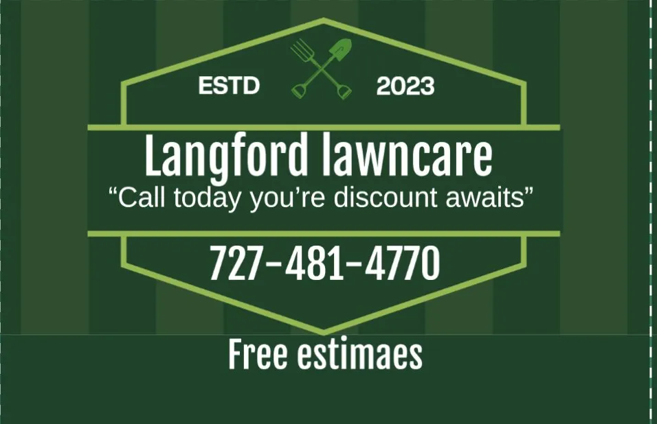 Affordable landscape installation for outdoor upgrades in St. Petersburg, FL by Bay & Jay