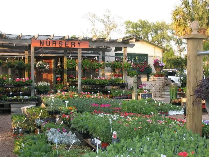 Professional landscaping services for residential properties in Seabrook, TX by Bay Area Design & Landscape