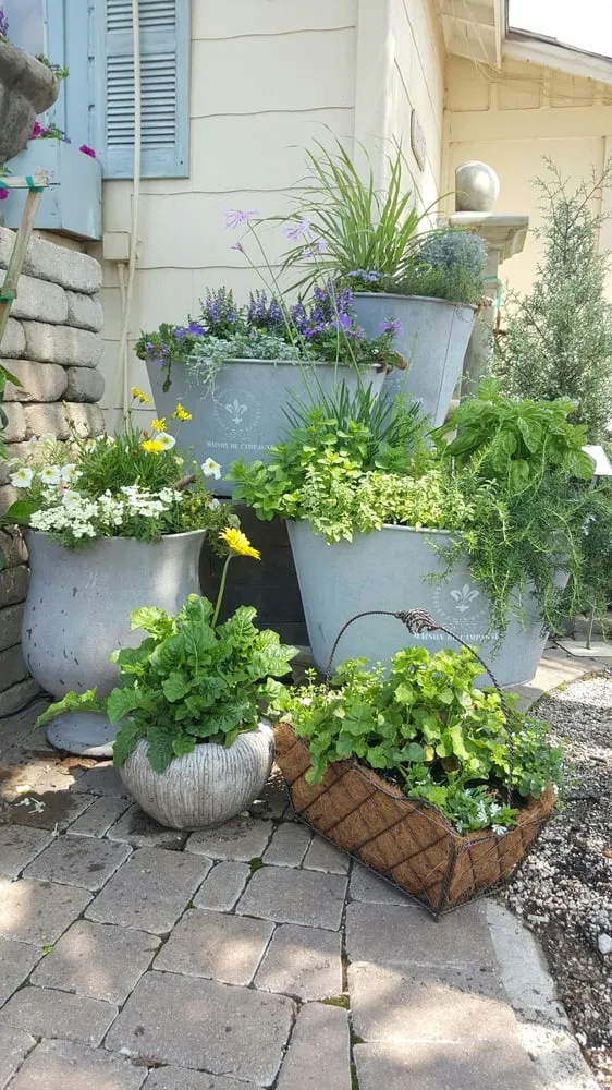 Local yard maintenance for residential properties in Seabrook, TX by Bay Area Design & Landscape