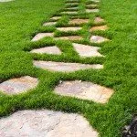 Trusted yard cleanup service in Moraga, CA - Bay Area Greenscapes