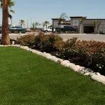 Top-rated lawn care service for year-round maintenance in Moraga, CA by Bay Area Greenscapes