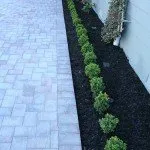 Reliable landscape design for year-round maintenance in Moraga, CA by Bay Area Greenscapes