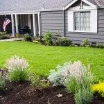 Reliable residential landscaping for outdoor upgrades in Moraga, CA by Bay Area Greenscapes