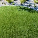 Reliable yard maintenance experts serving Moraga, CA - Bay Area Greenscapes