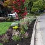 Top-rated garden landscaping for beautiful yards in Moraga, CA by Bay Area Greenscapes