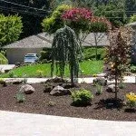 Professional garden landscaping in Moraga, CA by Bay Area Greenscapes