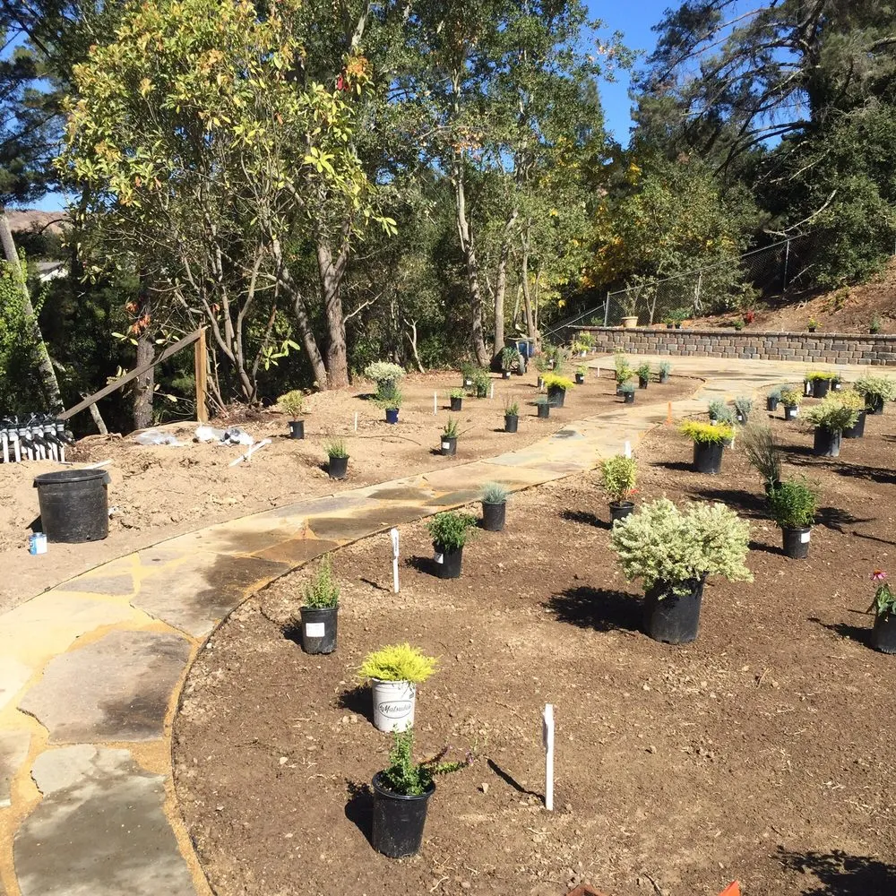 Custom garden landscaping in Moraga, CA - Bay Area Greenscapes