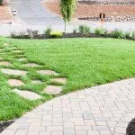Affordable yard cleanup service experts serving Moraga, CA - Bay Area Greenscapes