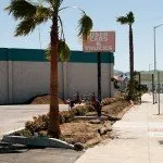 Bay Area Greenscapes