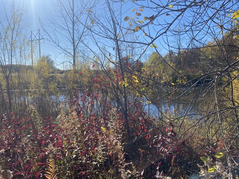 Expert garden landscaping with custom design across Oneida, WI - Bay Area Land Management