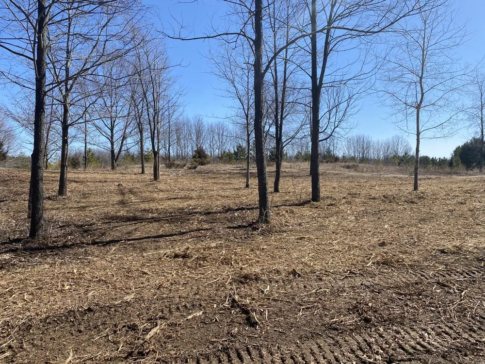 Professional yard cleanup service experts serving Oneida, WI - Bay Area Land Management