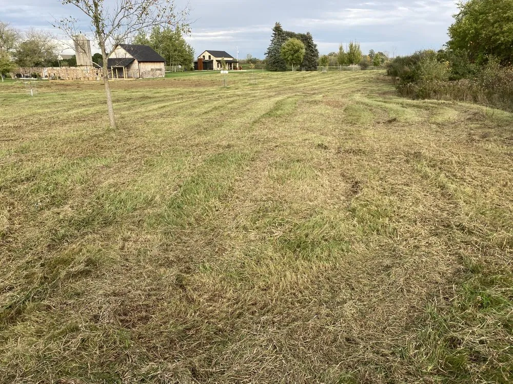 Local residential landscaping for beautiful yards in Oneida, WI by Bay Area Land Management