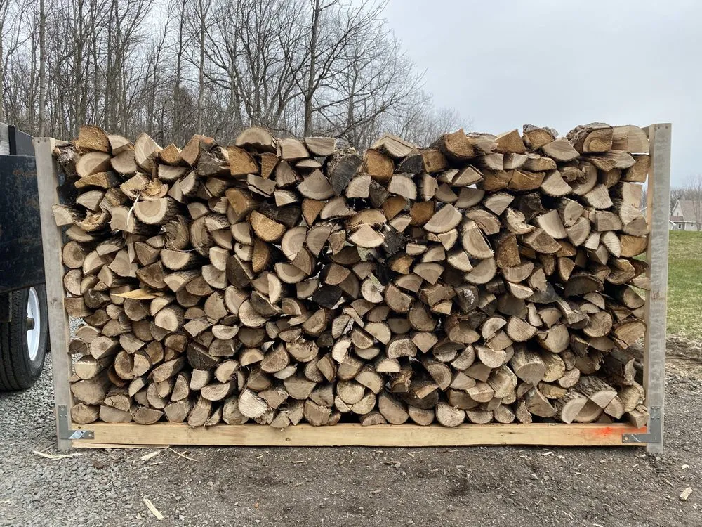 Professional yard cleanup service in Oneida, WI - Bay Area Land Management