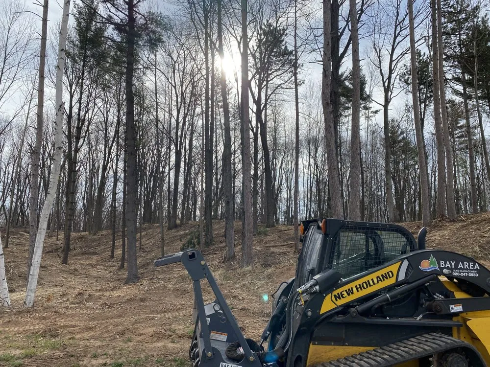 Affordable landscape design in Oneida, WI - Bay Area Land Management