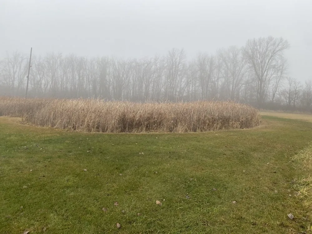 Professional residential landscaping for year-round maintenance in Oneida, WI by Bay Area Land Management