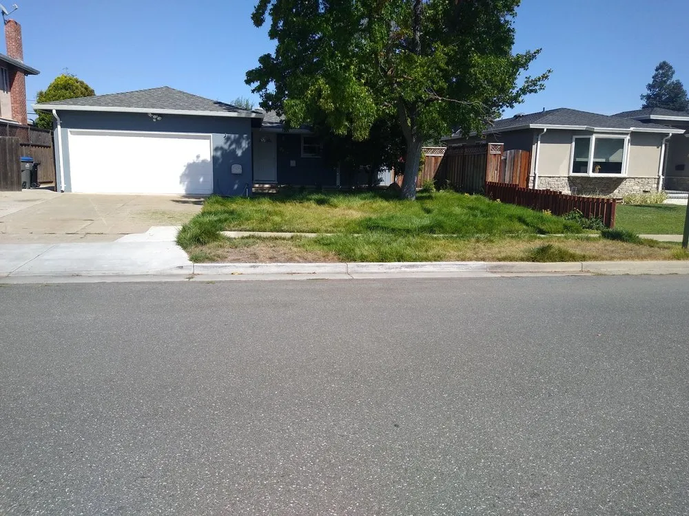 Trusted residential landscaping for year-round maintenance across San Jose, CA - Bay Area Landscape & Maintenance