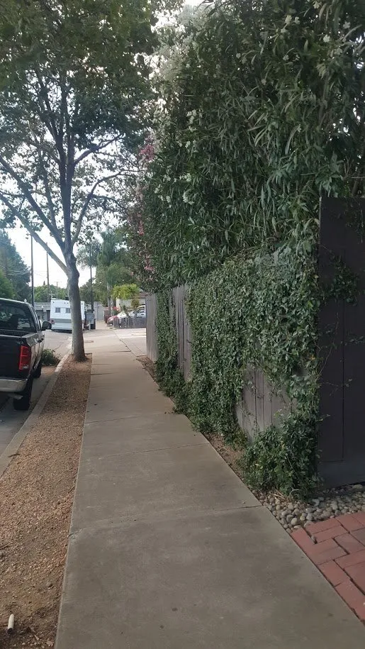 Professional landscaping services for homes across San Jose, CA - Bay Area Landscape & Maintenance