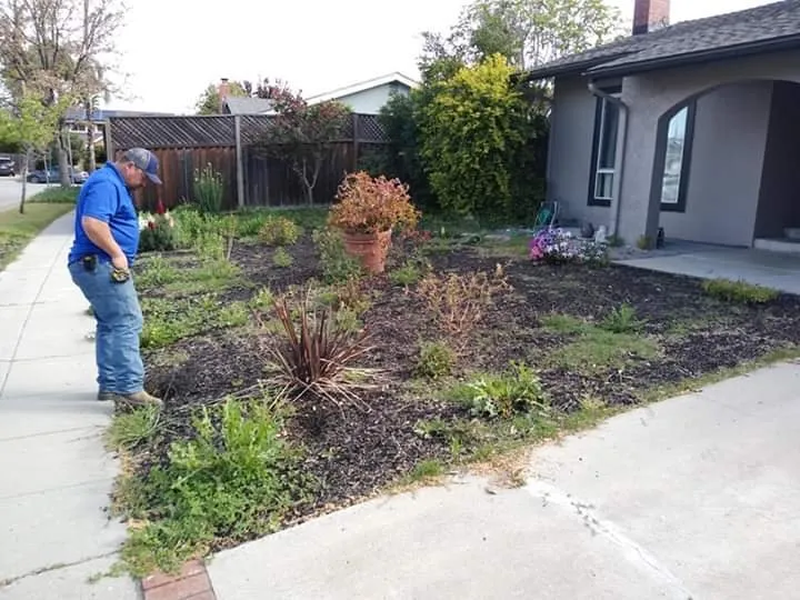 Local yard cleanup service for homes across San Jose, CA - Bay Area Landscape & Maintenance