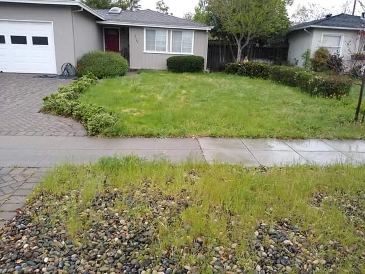 Expert lawn mowing service in San Jose, CA - Bay Area Landscape & Maintenance