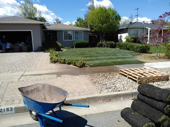 Professional landscape design in San Jose, CA by Bay Area Landscape & Maintenance